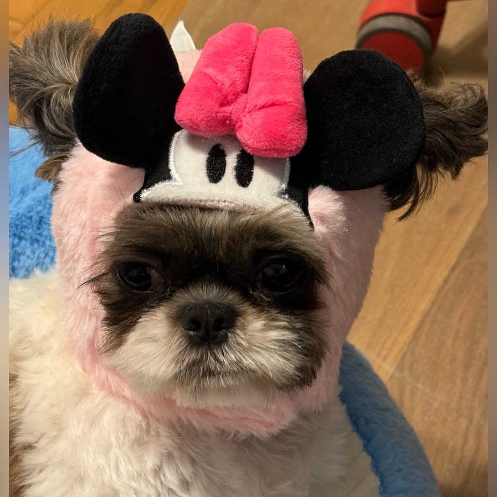 Minnie Mouse Hat! Famous MINISO product, an Iconic Disney character. Cute hat